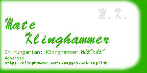 mate klinghammer business card